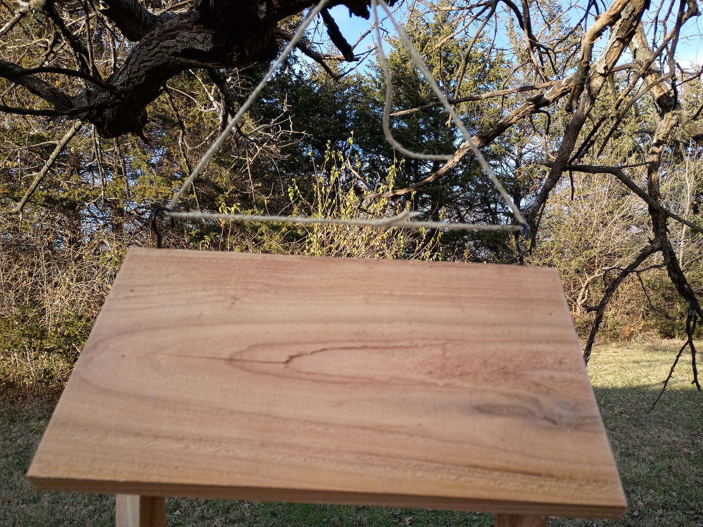 Tree Side Bird Feeder