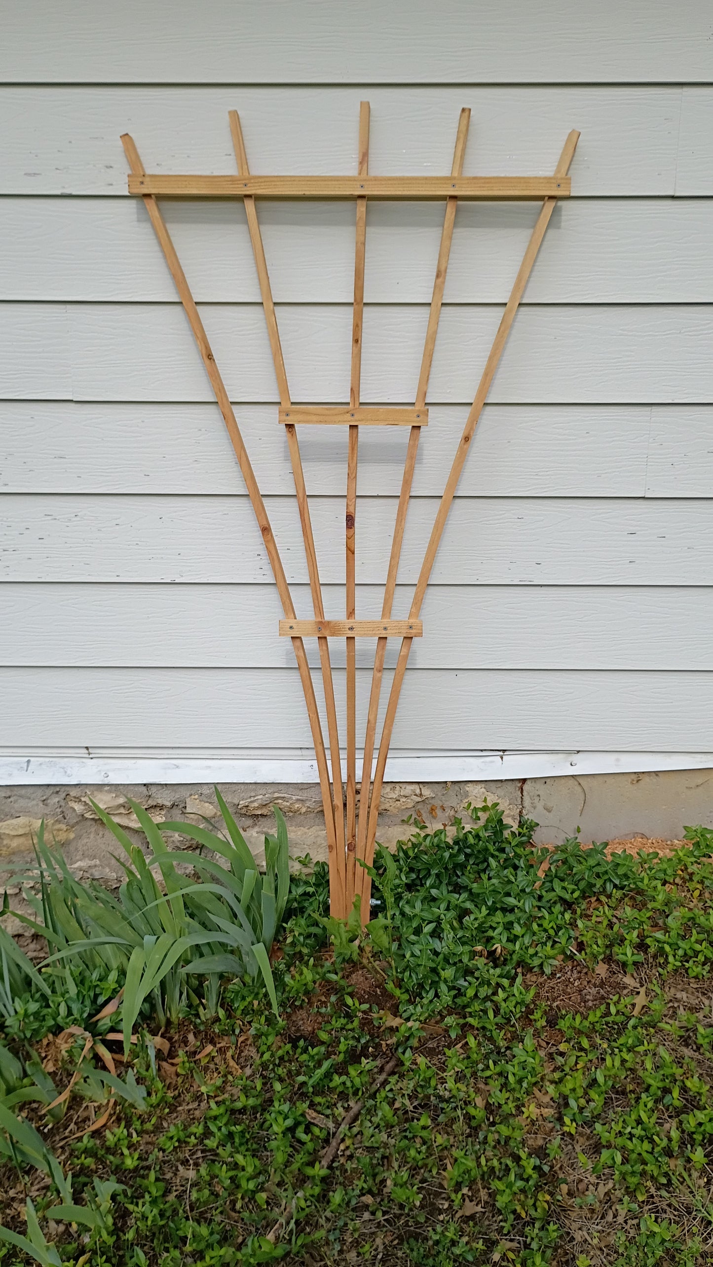 Garden Trellis