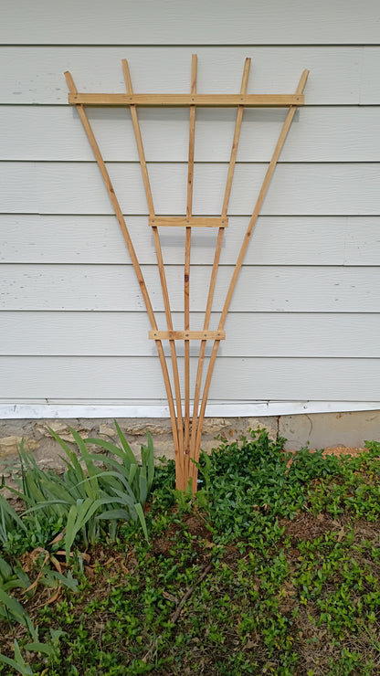 Garden Trellis