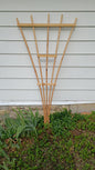 Garden Trellis