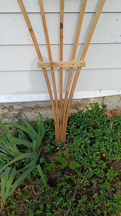 Garden Trellis