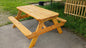 Picnic Table