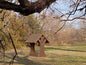 Tree Motif Bird Feeder