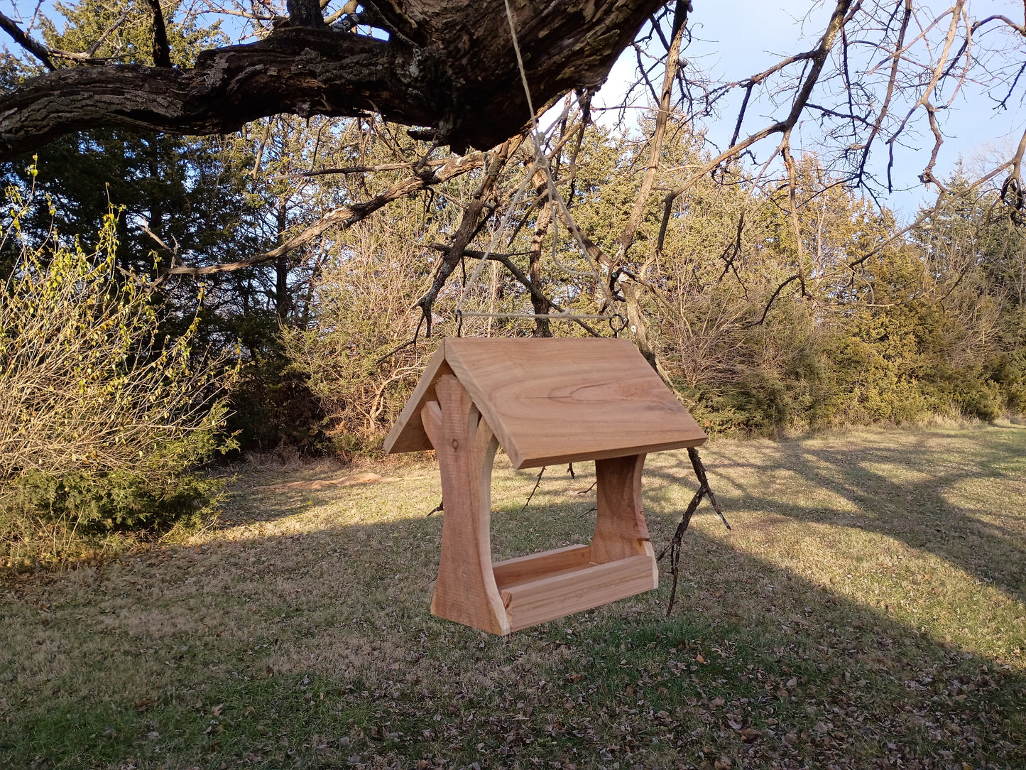 Tree Side Bird Feeder