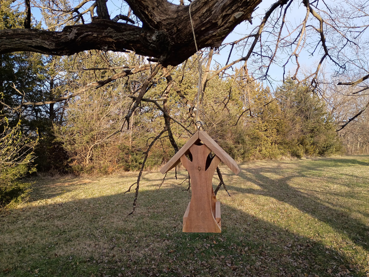 Tree Side Bird Feeder